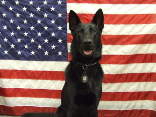 K9 Argos